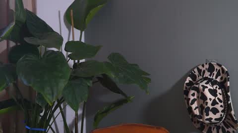 HairyRobXxX online show from September 20, 10:05 am