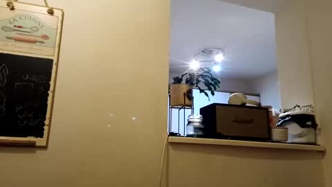 hakfin666 online show from January 31, 7:07 am