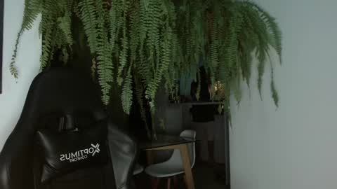 halan online show from February 26, 6:47 am