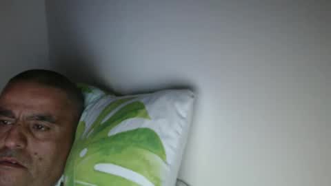 Snapshot of haled_77 chatting on March 31, 6:36 am haled_77 online show from March 31, 6:36 am