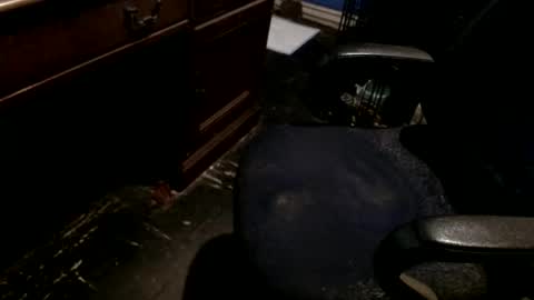 Snapshot of hammerhead973 chatting on December 22, 8:17 pm hammerhead973 online show from December 22, 8:17 pm