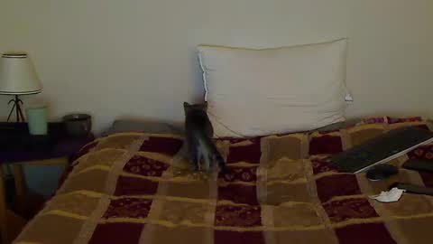 hammerthatthang73 online show from October 14, 8:59 am