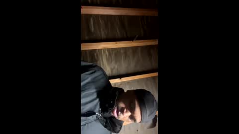 Snapshot of handsomeda1 chatting on January 19, 6:31 am handsomeda1 online show from January 19, 6:31 am