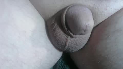 Handyman online show from January 10, 2:19 pm