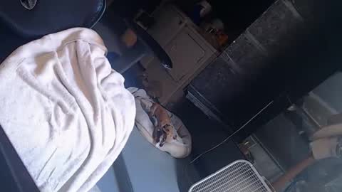 Snapshot of handystud33 chatting on June 3, 4:01 pm handystud33 online show from June 3, 4:01 pm