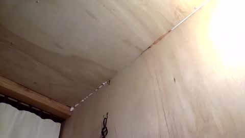 handywoody online show from February 1, 11:36 pm