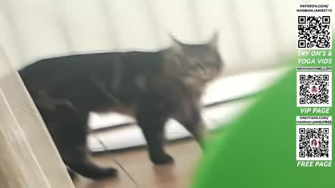 Hannah James online show from April 3, 4:16 pm