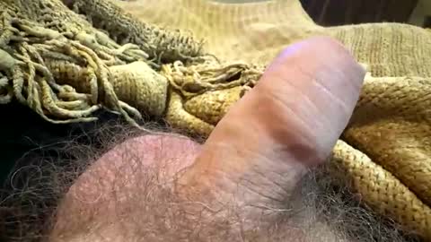 Snapshot of happygerman68 chatting on September 14, 11:59 pm happygerman68 online show from September 14, 11:59 pm