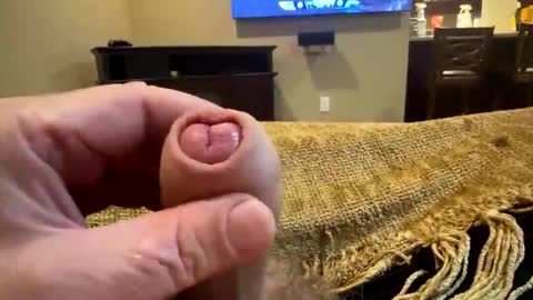 Snapshot of happygerman68 chatting on October 24, 12:30 am happygerman68 online show from October 24, 12:30 am