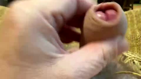 Snapshot of happygerman68 chatting on October 27, 9:30 pm happygerman68 online show from October 27, 9:30 pm