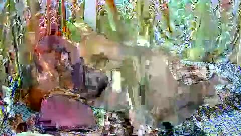 happysonia online show from March 18, 8:06 am