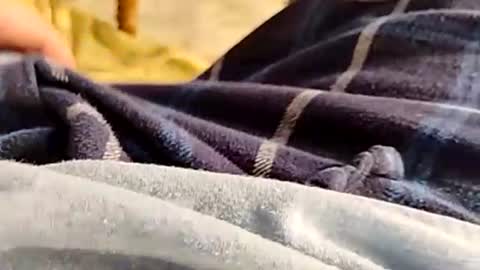 hardandhorny422 online show from November 30, 4:33 pm