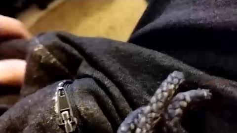 Snapshot of hardandhorny422 chatting on February 5, 1:05 pm hardandhorny422 online show from February 5, 1:05 pm