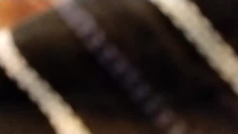 Snapshot of hardandhorny422 chatting on February 12, 3:51 pm hardandhorny422 online show from February 12, 3:51 pm