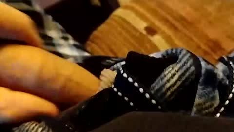 Snapshot of hardandhorny422 chatting on April 12, 6:35 pm hardandhorny422 online show from April 12, 6:35 pm