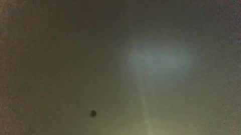 For You online show from November 24, 12:16 pm