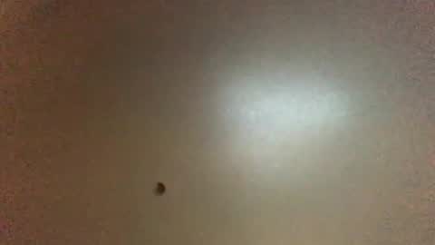 Snapshot of hardforyou3030 chatting on February 1, 11:36 pm For You online show from February 1, 11:36 pm