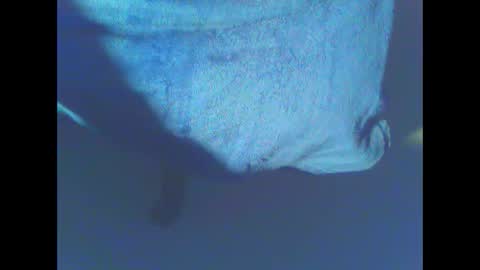 Snapshot of hardning chatting on December 28, 5:12 am hardning online show from December 28, 5:12 am