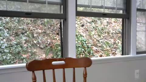 hardworkertn online show from February 8, 7:16 pm