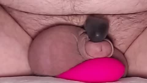 Snapshot of harfang23 chatting on February 13, 1:12 am Paul online show from February 13, 1:12 am