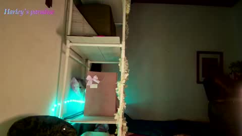 900 am to 300 pm - GTM 5 Weekdays online show from November 28, 6:16 am