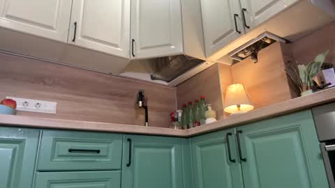 Snapshot of harmonicdiv chatting on February 17, 3:19 pm Sophia online show from February 17, 3:19 pm