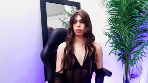 Harper  online show from October 11, 6:56 am