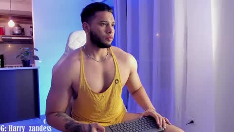 Harry Zandes online show from February 27, 5:34 am