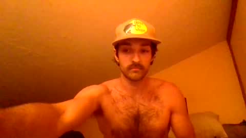 harrycheeks online show from June 29, 6:41 am