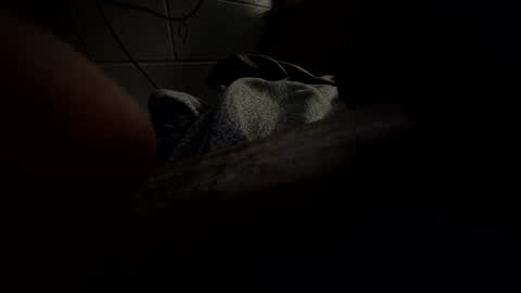 J Hart online show from January 23, 10:22 am