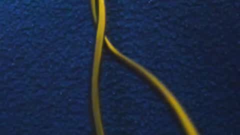 Snapshot of hathor_01_ chatting on March 5, 11:49 am andres online show from March 5, 11:49 am