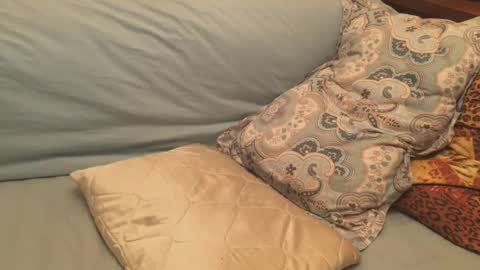 havedream1m online show from December 17, 12:11 pm