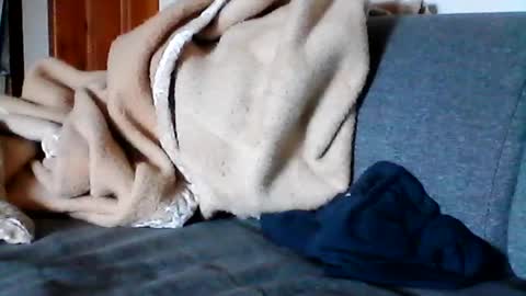 havier282874 online show from June 17, 8:06 am