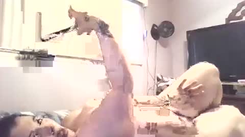 hazelbasil32728 online show from October 30, 7:25 pm