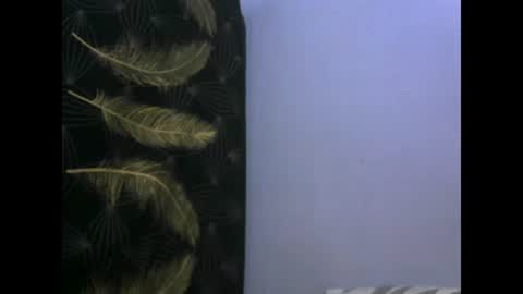 Snapshot of healyn chatting on January 27, 3:47 am healyn online show from January 27, 3:47 am