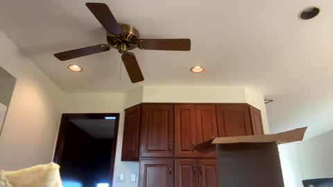 Snapshot of heatwavee chatting on November 4, 12:59 pm heatwavee online show from November 4, 12:59 pm