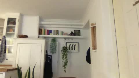 Snapshot of hellolucas69 chatting on January 3, 5:42 pm Lucas online show from January 3, 5:42 pm