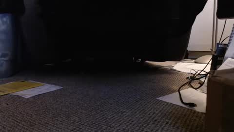 Snapshot of henryjxxx chatting on January 12, 4:18 pm henryjxxx online show from January 12, 4:18 pm