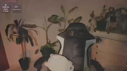 Snapshot of hera_069 chatting on September 20, 3:02 pm Hello I am Valentina independent Colombian model I love sensuality and pleasure welcome online show from September 20, 3:02 pm