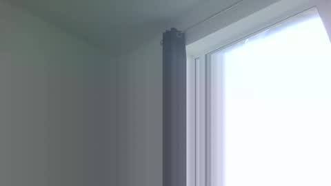 heretoserveyouall online show from September 16, 3:24 pm