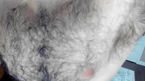 Snapshot of herewego42 chatting on January 25, 2:15 am Wade Biggs online show from January 25, 2:15 am