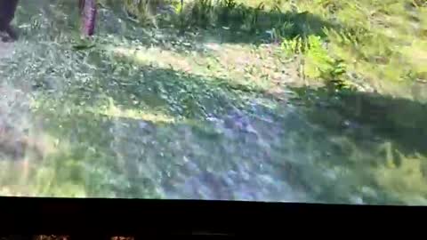 hightymz420 online show from October 27, 4:16 am