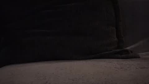 hikinxxx online show from November 12, 3:18 am