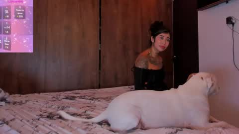 LUNA new account  FOLLOW ME online show from December 2, 1:47 am