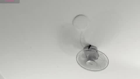 hilary_tailor online show from January 9, 11:02 am