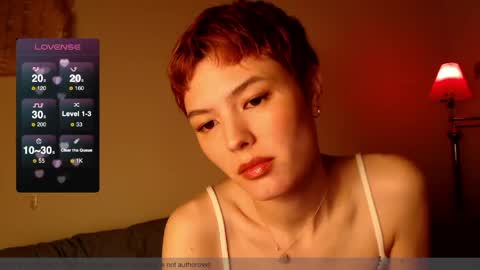 Snapshot of hivivi chatting on April 13, 2:17 am Vivi online show from April 13, 2:17 am