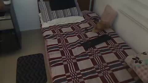 Snapshot of holofernes45gil chatting on March 28, 7:30 am Holofernes45gil online show from March 28, 7:30 am