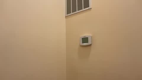 honey_man14 online show from February 12, 4:57 pm