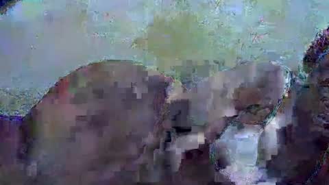 honey_sunshiny online show from February 3, 6:51 am