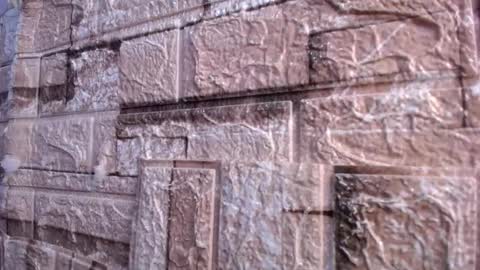 Victoria online show from March 2, 7:59 am